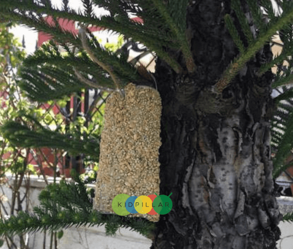 easy bird feeder